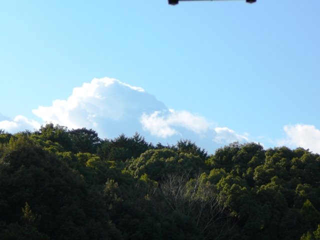 d0042474_1471624.jpg