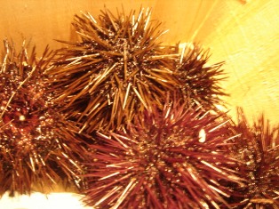 f0136579_47399.jpg