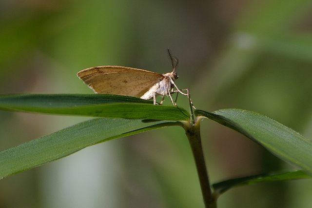 e0070891_18134452.jpg