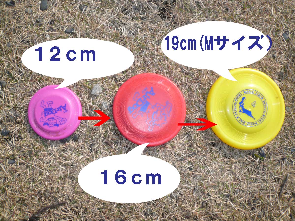 c0128896_2271342.jpg