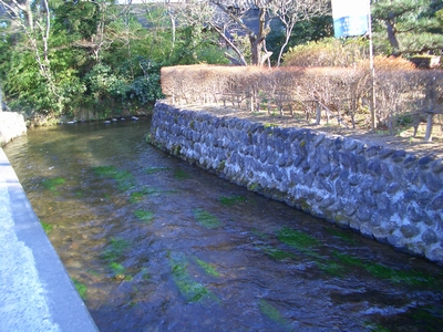d0069498_16193947.jpg