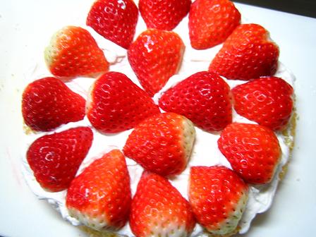 いちごのショートケーキ★組み立て編★_c0146301_163525.jpg