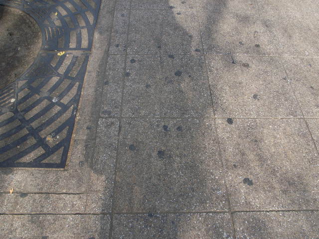 d0100502_14404847.jpg