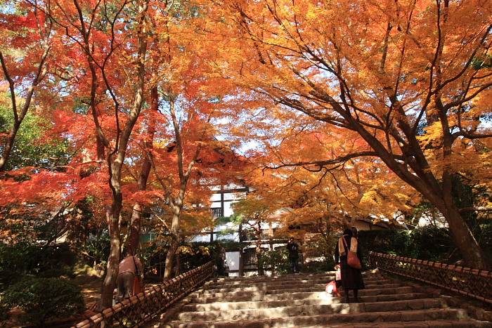 晩秋の思ひ出：龍安寺　_f0130607_05497.jpg