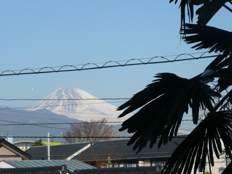 c0097309_1046532.jpg