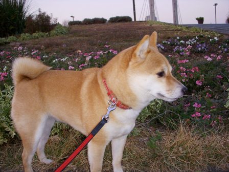f0004309_13303839.jpg