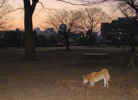 f0004309_13313077.jpg