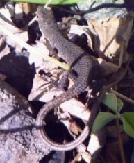 c0128710_23281382.jpg