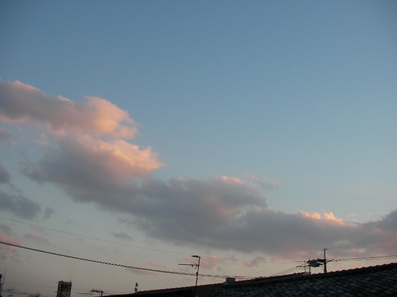 f0054610_10595886.jpg