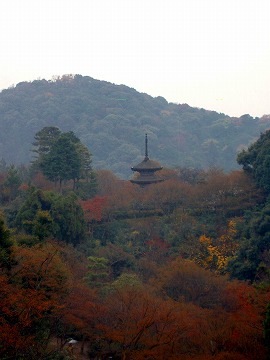 清水寺【2007年12月】_a0054016_2144293.jpg