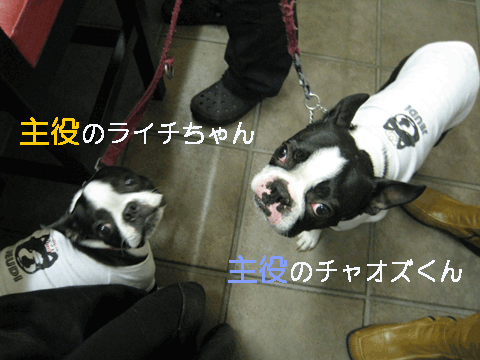 e0080117_1942446.gif
