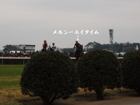 c0130324_0482126.jpg