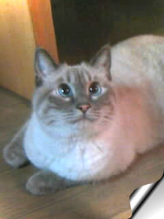 c0006826_21104625.jpg