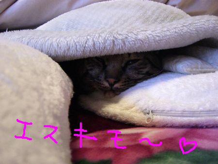 a0099131_1024110.jpg