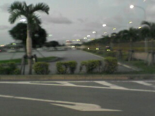 a0051440_1845624.jpg