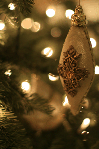 f0134642_044255.gif