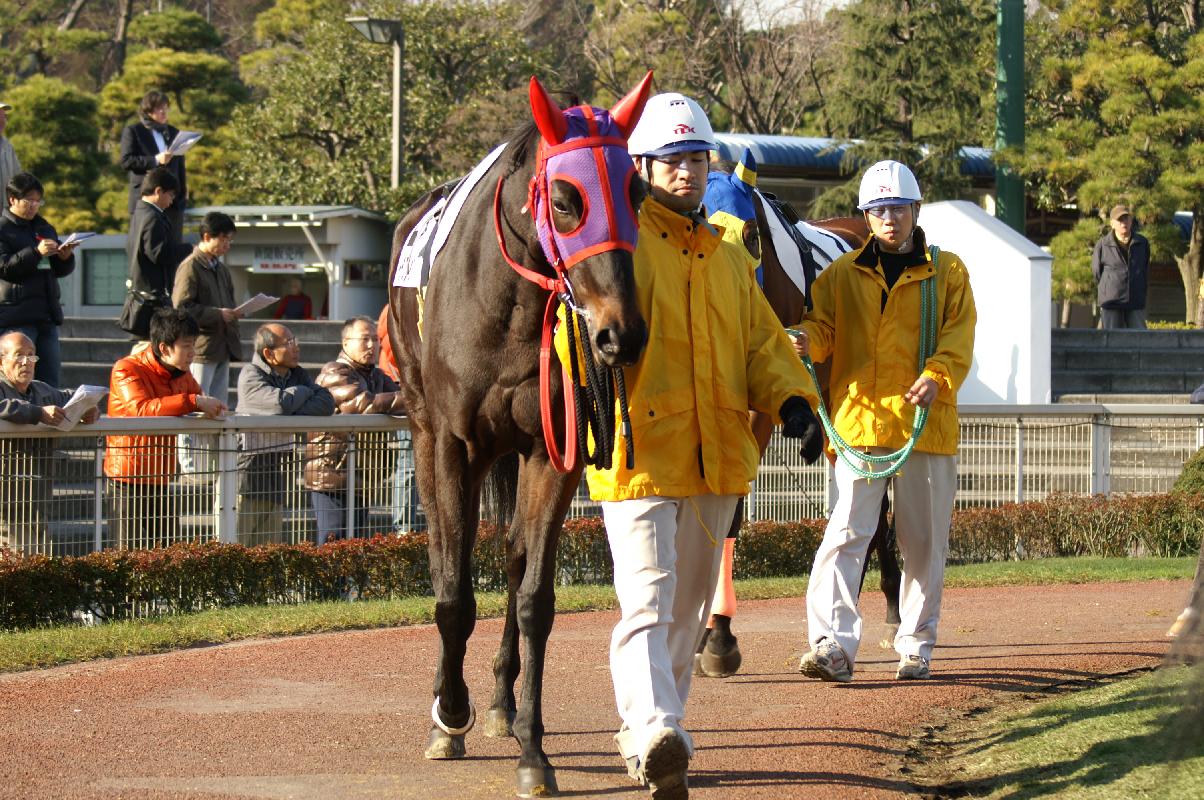 現在は大井競馬で活躍中_f0033848_23462740.jpg