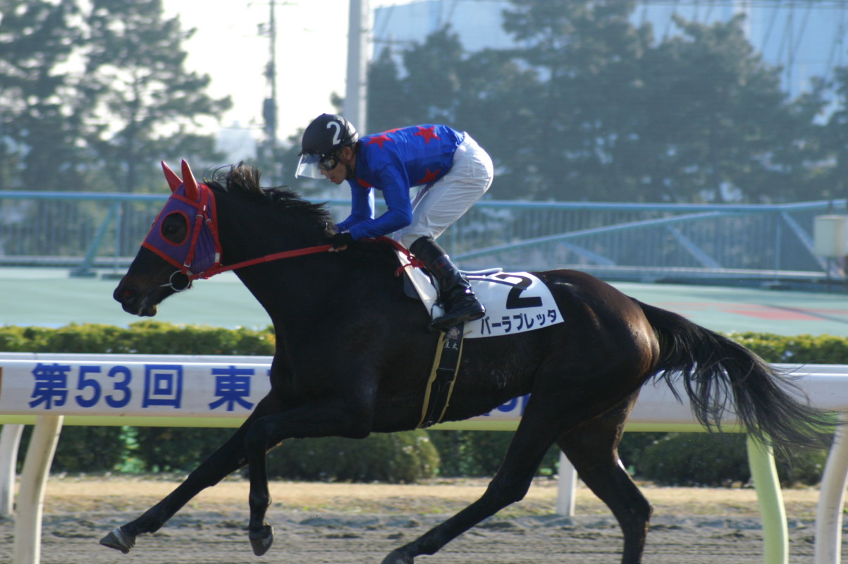 現在は大井競馬で活躍中_f0033848_2348728.jpg