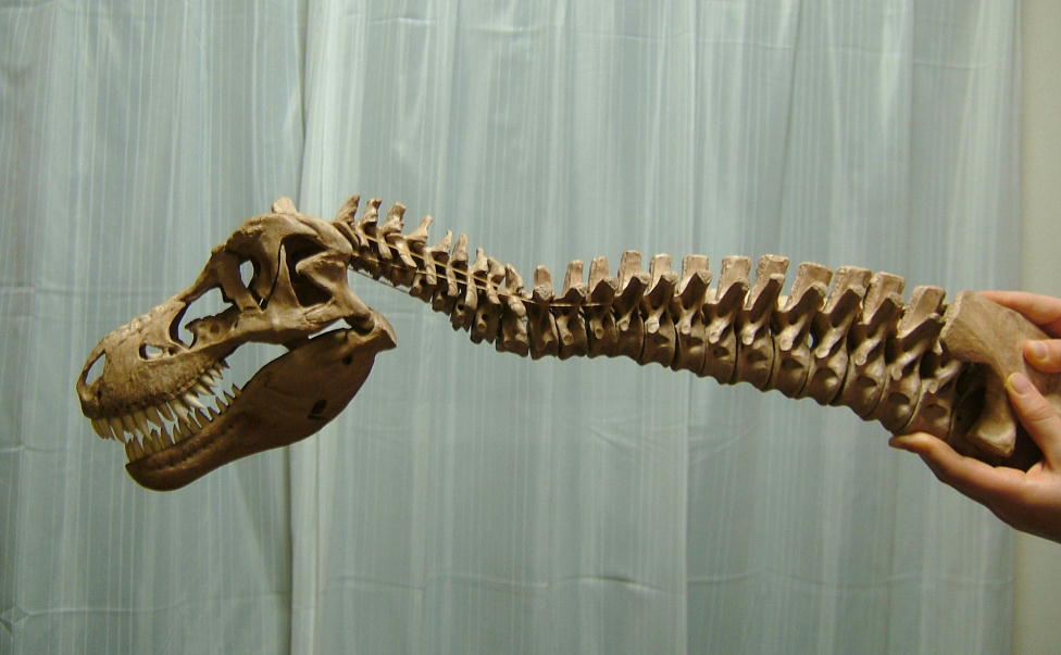 e0064457_22173627.jpg