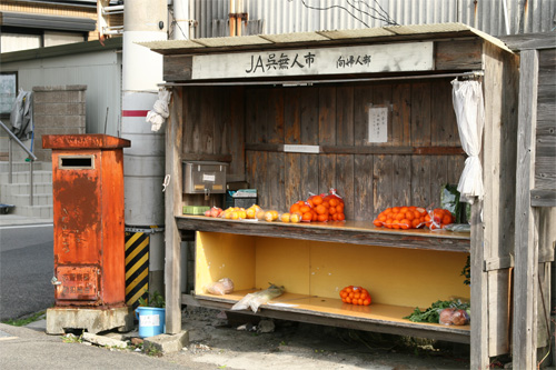 f0147858_2246530.jpg