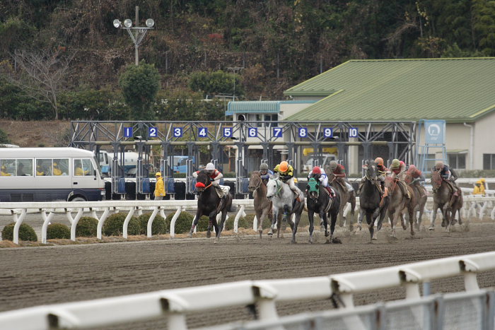 高知市商工観光部協賛 聖夜に女神微笑む特別_a0077663_1812929.jpg