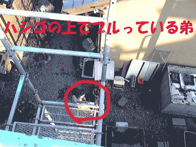 c0138868_2145995.gif