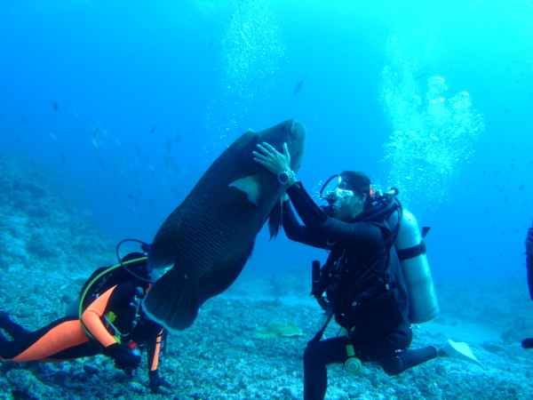 c0063673_165792.jpg