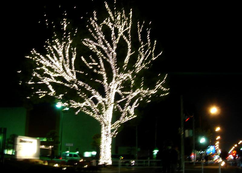f0059673_22132668.jpg