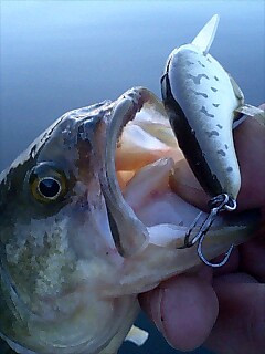 2007釣り納めかな?_a0040876_20571321.jpg