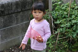 今年もチューリップの季節がやってきた。_b0084378_21525043.jpg