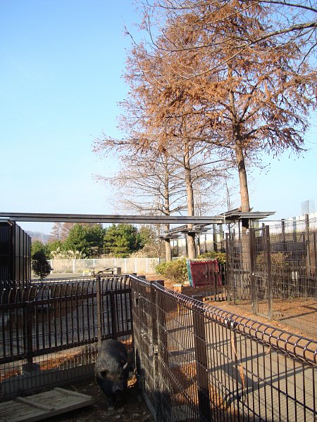 c0109780_2148738.jpg