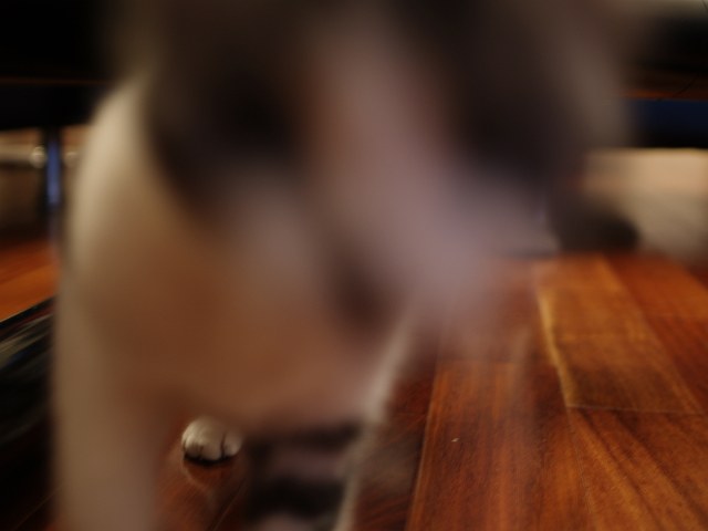 c0136092_0574198.jpg