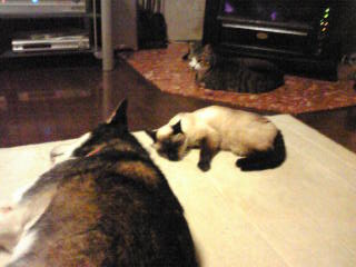 c0125702_001184.jpg