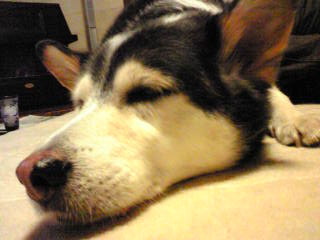 c0125702_23574837.jpg