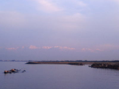 a0026413_543081.jpg
