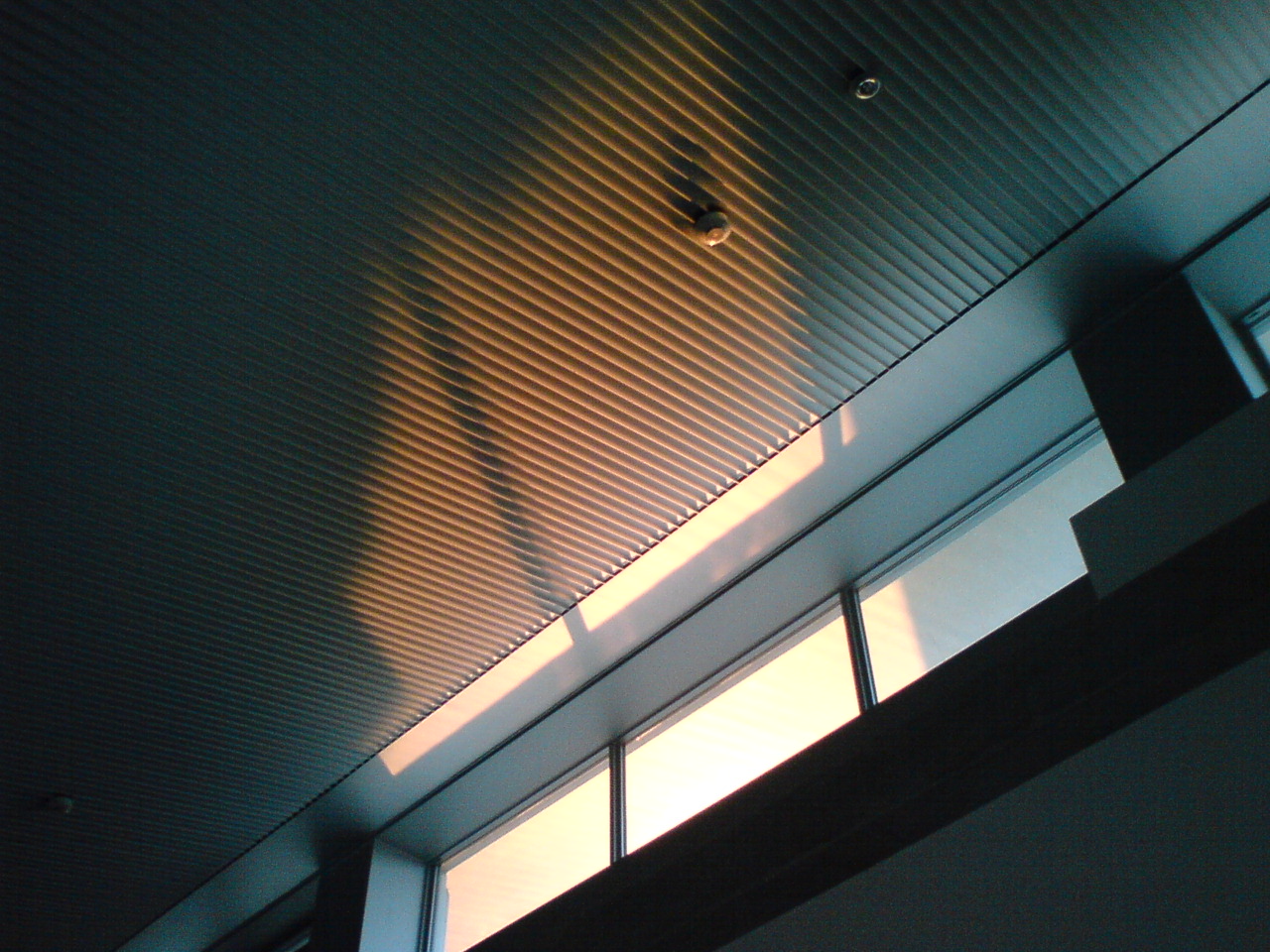 c0003723_16484339.jpg