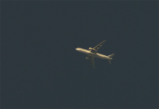 c0147123_164716.jpg
