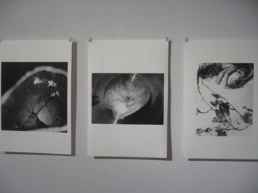 448)　②法邑　「オペラ・展　Ｖｏｌ．２」・複合展　終了・10月31日（水）～11月11日（日）_f0126829_2118139.jpg