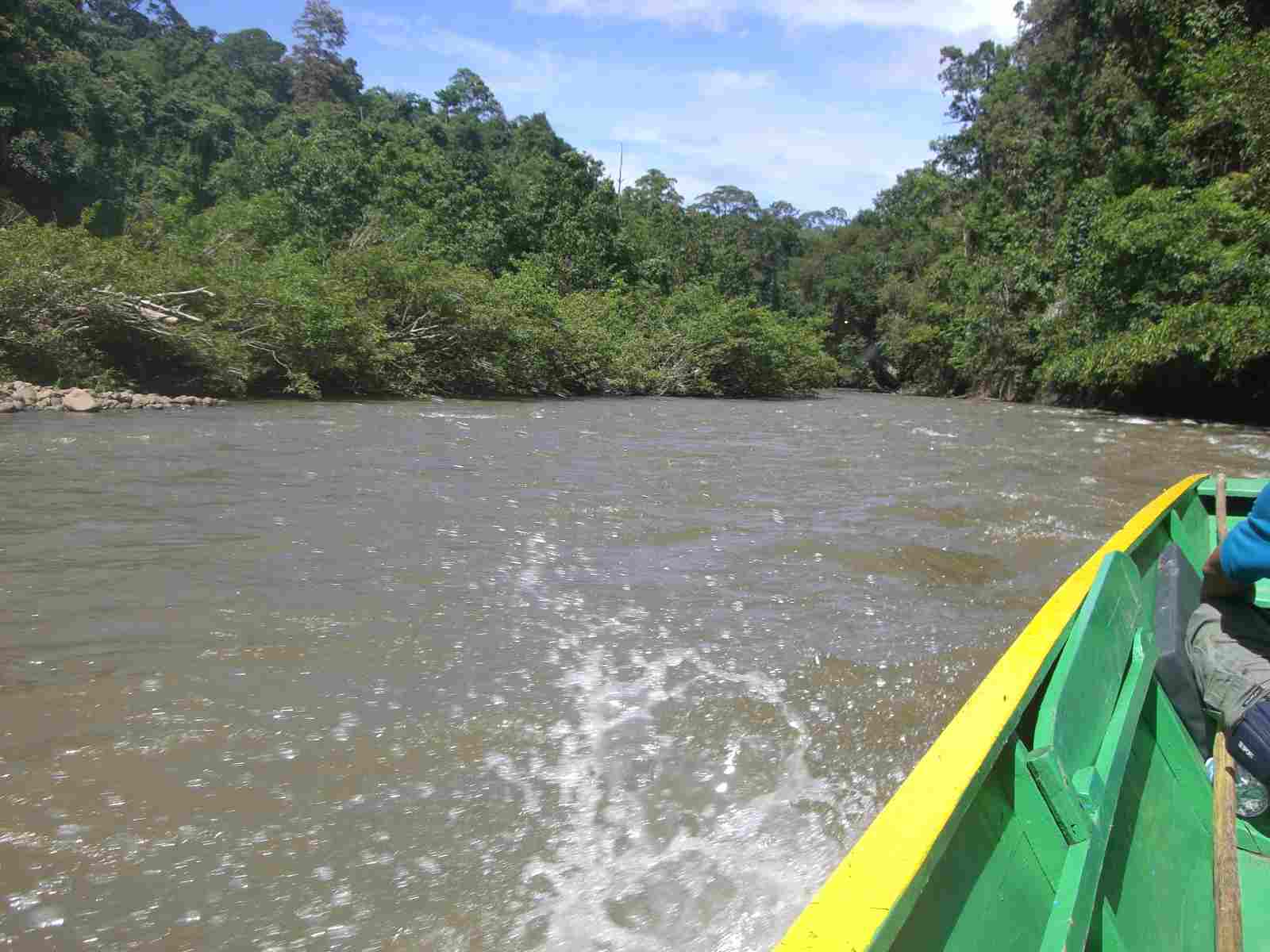 c0119242_035127.jpg