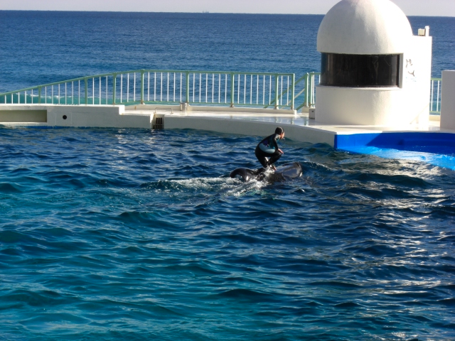 水族館3_f0031546_1924312.jpg