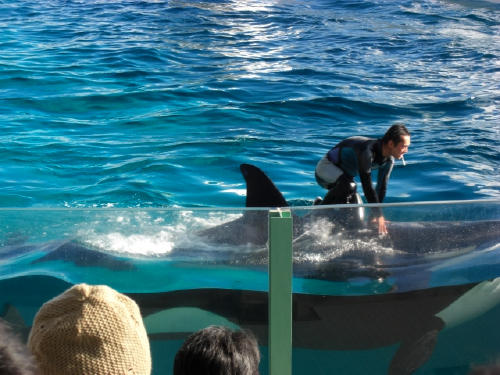 水族館3_f0031546_19245279.jpg