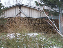 c0097856_0335433.jpg