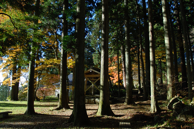 那岐山・菩提寺_d0006260_19361036.jpg