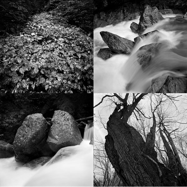 写真展「荒川源流・水の回廊より」_b0007284_19225814.jpg