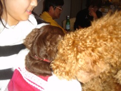 2007年12月27日 まだまだ仕事納めじゃない _b0098584_163034100.jpg