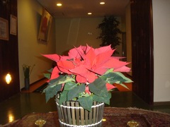 2007年12月27日 まだまだ仕事納めじゃない _b0098584_1630496.jpg
