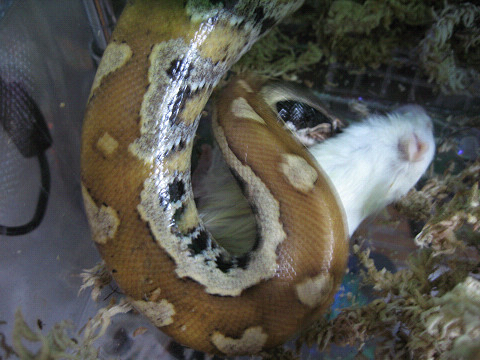 c0128388_1273822.jpg