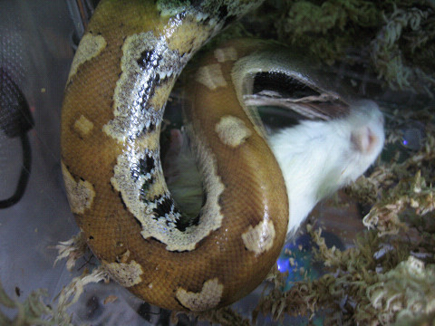 c0128388_1282953.jpg