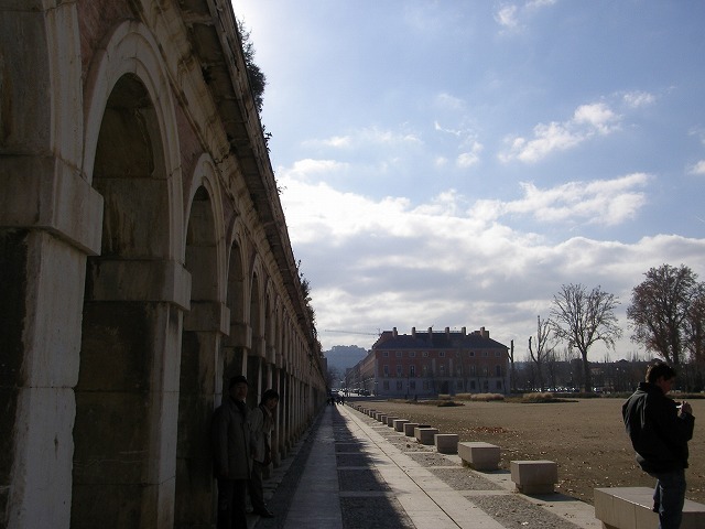 d0050290_2324094.jpg