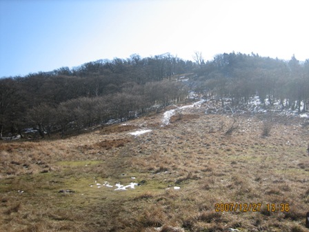 c0147398_2274175.jpg